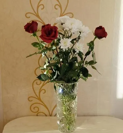 Apartment On Pritytskogo Minsk